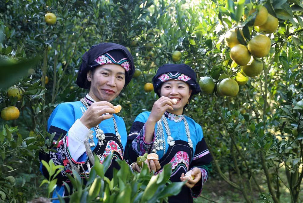 ttxvn-0812-quyt-muong-khuong-3-8886.jpg