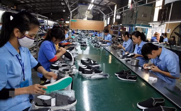 Sắp diễn ra Phiên tư vấn xuất khẩu sang thị trường Thụy Sĩ ảnh 1