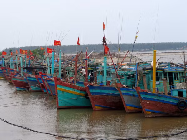 Các tỉnh Đông Bắc Bắc Bộ đã có mưa vừa, mưa to đến rất to ảnh 1