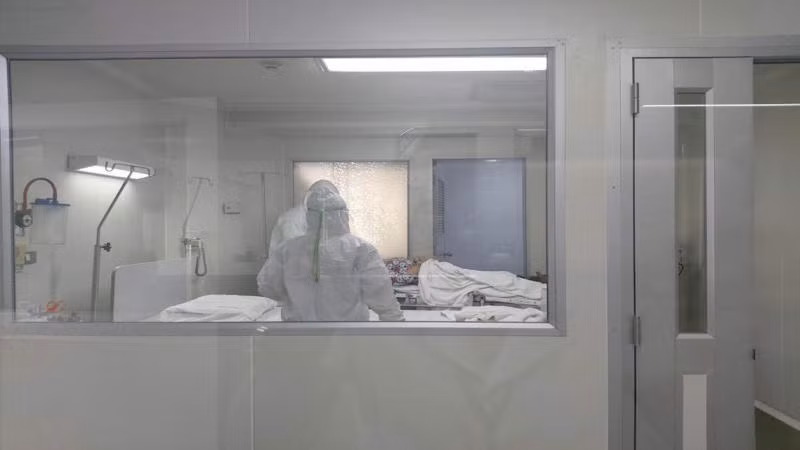 Dịch do virus corona: Thái Lan kiểm tra loài dơi tại các vườn quốc gia ảnh 1