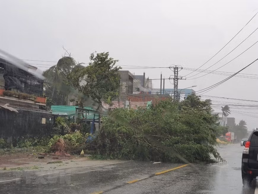Bình Định: 19 người bị thương, hàng nghìn ngôi nhà bị tốc mái ảnh 2