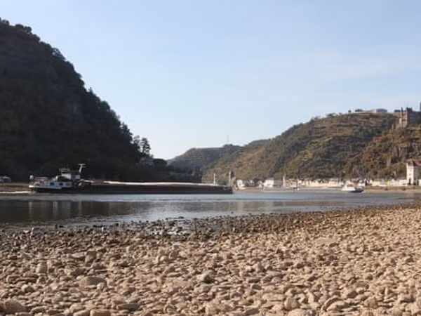 Mực nước sông Rhine giảm thấp kỷ lục, ảnh hưởng đến kinh tế Đức ảnh 1