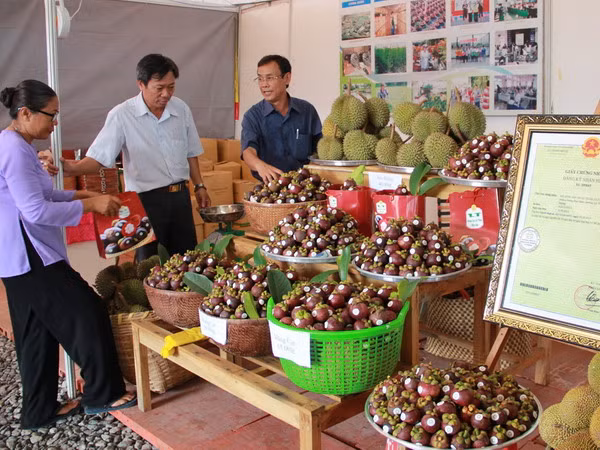Phát triển và giữ vững thương hiệu đặc sản măng cụt Lái Thiêu ảnh 1