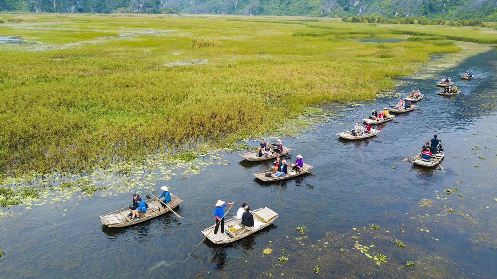 Ninh Bình: Mùa chim di trú trên 'bức tranh thủy mặc' ở đầm Vân Long | Vietnam+ (VietnamPlus)