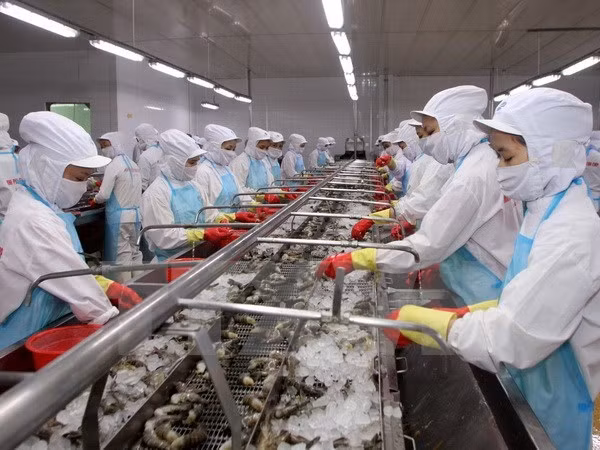 Sự kiện trong nước 31/10-6/11: Ban Bí thư kỷ luật ông Vũ Huy Hoàng ảnh 3