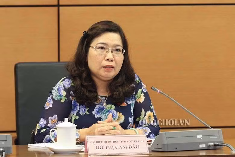 Bà Hồ Thị Cẩm Đào bị xem xét trách nhiệm vì làm đám cưới con quá to ảnh 1