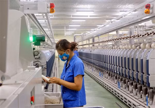 Công bố báo cáo và công cụ đánh giá rủi ro ngành dệt may Việt Nam ảnh 1