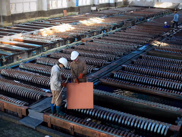 Trao quyền đánh giá tác động môi trường cho cộng đồng ảnh 1