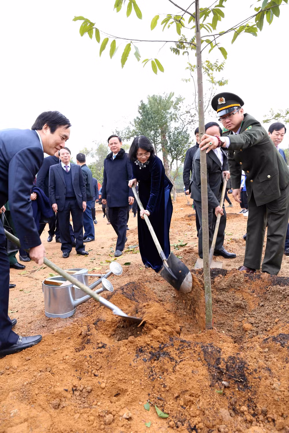 Phó Chủ tịch nước Đặng Thị Ngọc Thịnh phát động Tết trồng cây ảnh 2