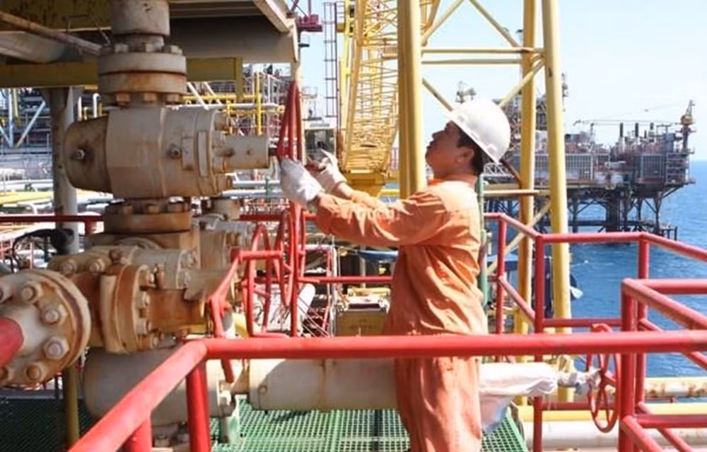 Triển khai nghị quyết sử dụng vốn, tài sản nhà nước tại doanh nghiệp ảnh 1