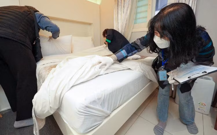 Chính phủ Hàn Quốc đẩy mạnh chiến dịch ngăn chặn rệp bùng phát ảnh 1
