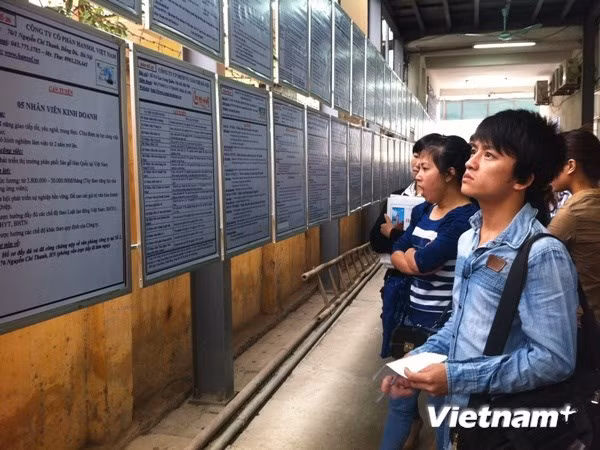 Năng suất lao động thấp: Phải nhìn vào thực tế, không tô hồng con số ảnh 1