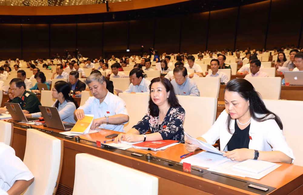 Quan điểm về bổ sung hình thức tố cáo qua điện thoại, thư điện tử ảnh 3