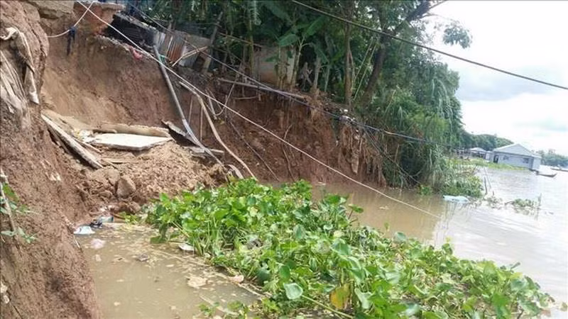 An Giang: Công bố tình huống khẩn cấp sạt lở bờ Sông Hậu ảnh 1