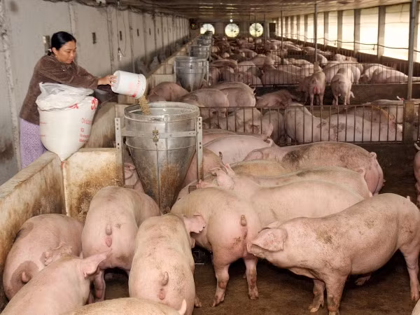 Phát triển sinh kế giúp nông dân ứng phó biến đổi khí hậu ảnh 2