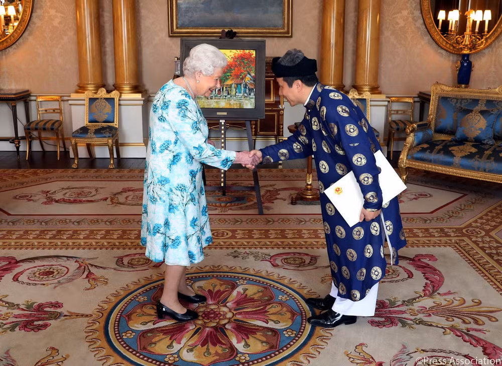 Đại sứ Việt Nam tại Anh trình Quốc thư lên Nữ hoàng Elizabeth II ảnh 1