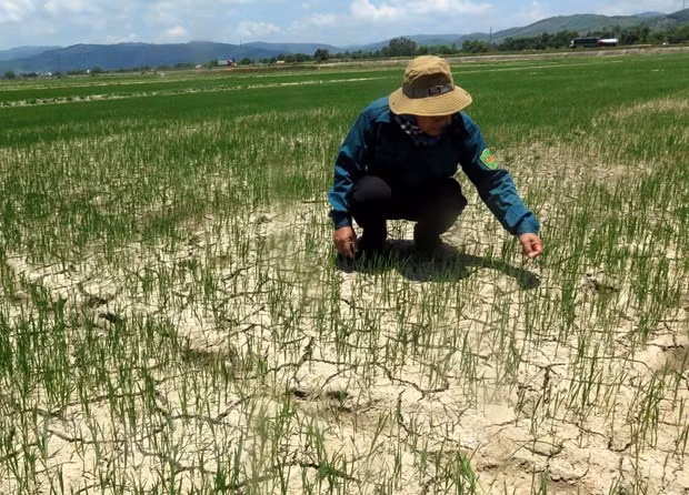 Miền Bắc khẩn trương ứng phó với tình trạng hạn hán, nắng nóng ảnh 1