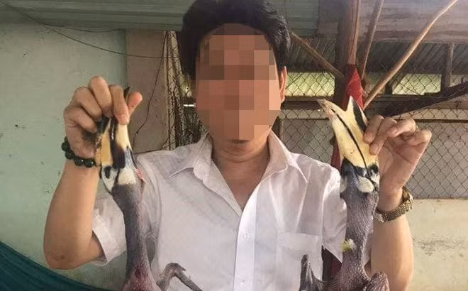 Đại diện Vườn Quốc gia Bù Gia Mập lên tiếng vụ chim quý bị xẻ thịt ảnh 1