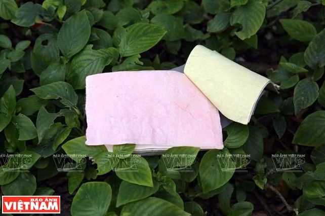 Trải nghiệm mới cho du khách học làm giấy dó ở Hòa Bình ảnh 10
