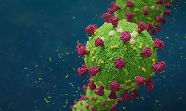 Tình báo Mỹ ra kết luận về nguồn gốc của virus SARS-CoV-2 ảnh 1