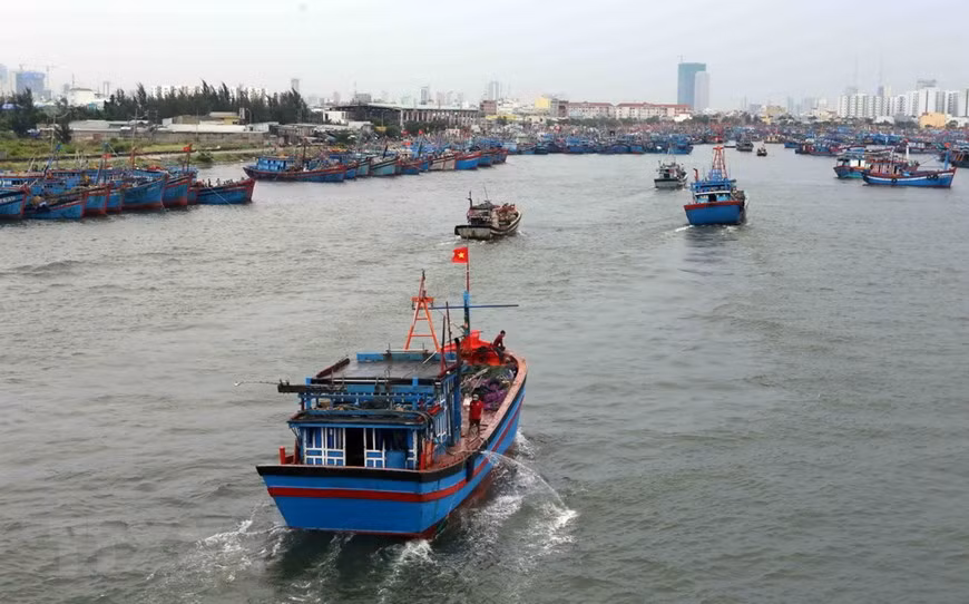 Ảnh hưởng của bão số 2, Bắc Bộ, Thanh Hóa và Nghệ An có mưa to ảnh 1