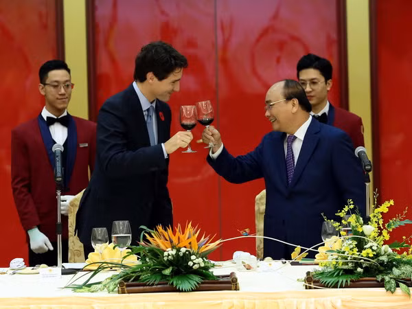 Tiếp tục đà phát triển quan hệ Đối tác toàn diện Việt Nam-Canada ảnh 1