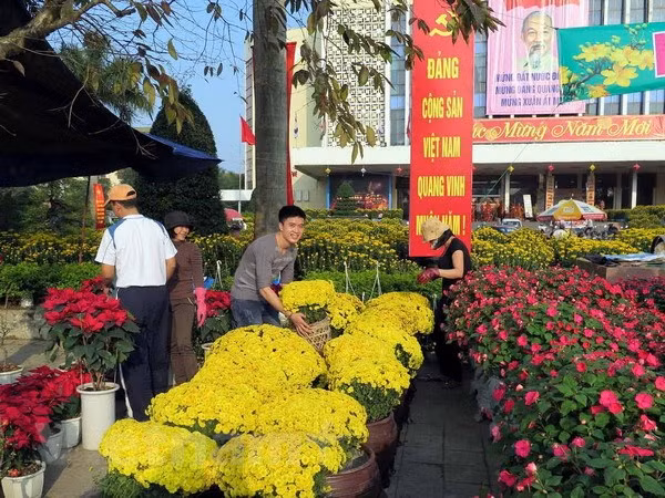 Nghệ An tổ chức 10 đường hoa, cụm hoa dịp Tết Nguyên đán ảnh 1