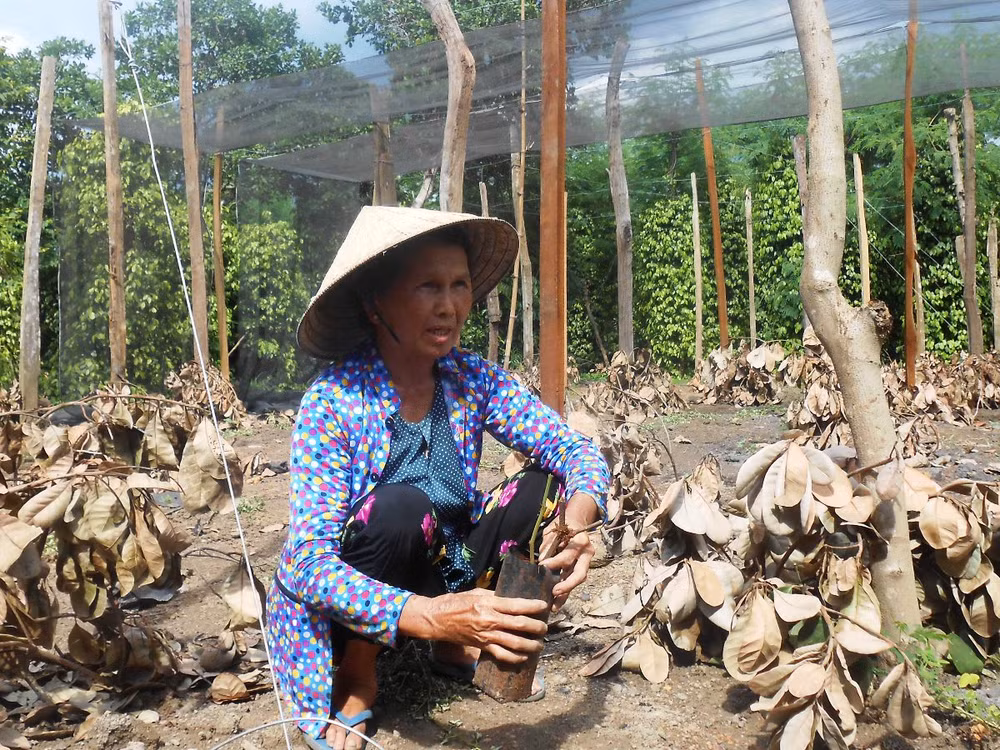 Việt Nam cần hơn 25.000 tỷ đồng để khắc phục thiệt hại do El Nino ảnh 1