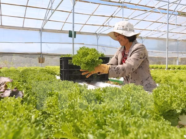 Điểm các mặt hàng xuất khẩu “tỷ đô” năm 2016 của ngành nông nghiệp ảnh 6
