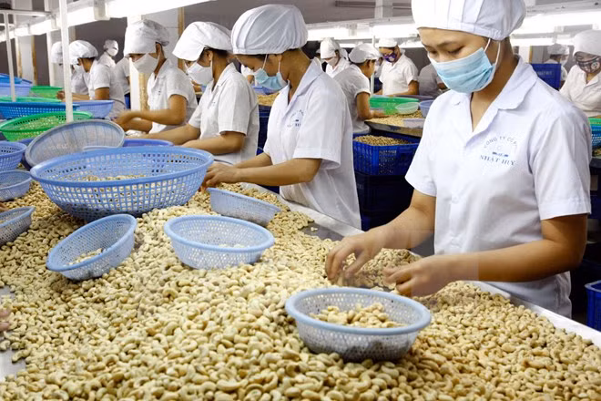 Điểm các mặt hàng xuất khẩu “tỷ đô” năm 2016 của ngành nông nghiệp ảnh 5