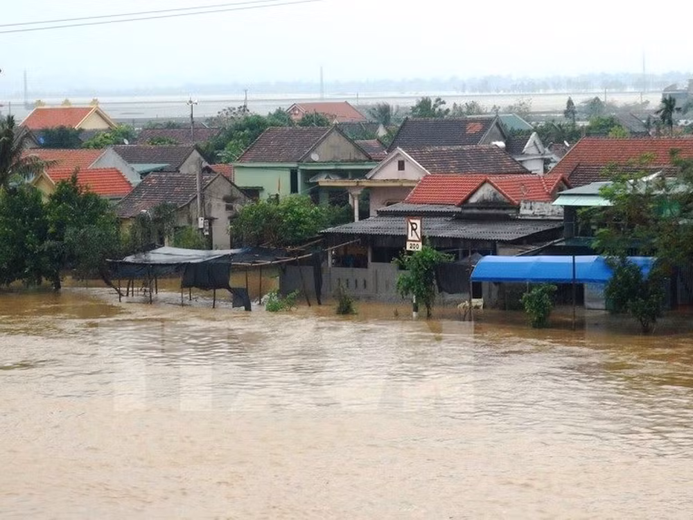 Ngành Nông nghiệp phát động và ủng hộ hơn 700 triệu đồng ở miền Trung ảnh 1