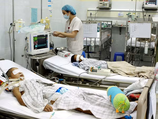 Xuất hiện nhiều ca mắc bệnh viêm não Nhật Bản nặng tại TP.HCM ảnh 1
