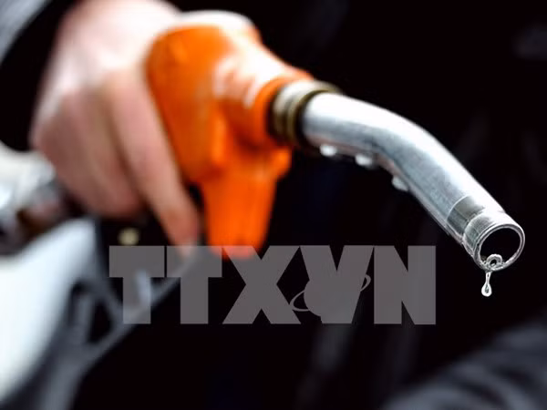 Giá dầu thô phá “đáy” trong 5 năm sau dự báo của IEA và OPEC ảnh 1