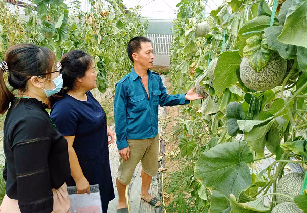 Tín dụng chính sách giúp bà con vùng cao Bắc Kạn vượt nghèo ảnh 1