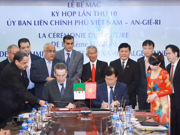 Khẳng định triển vọng mở rộng hợp tác Việt Nam-Algeria ảnh 1