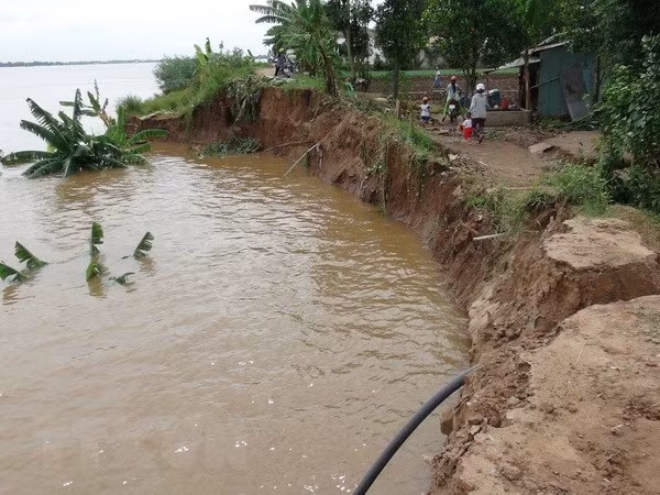 Quảng Ngãi: Sạt lở bờ sông Vệ, người dân thức trắng canh chừng lũ ảnh 1