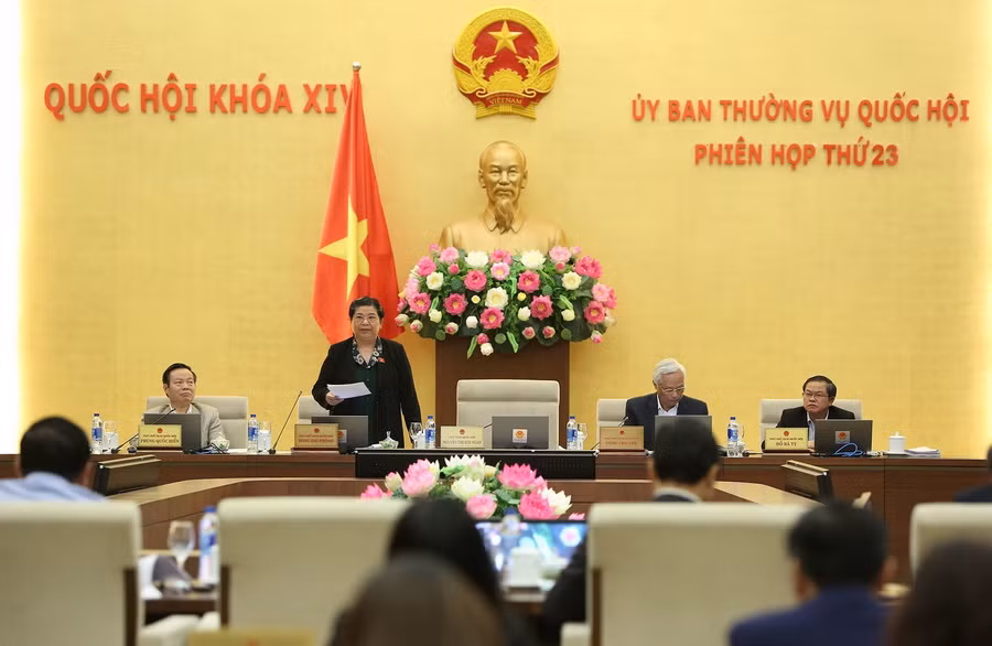 Rà soát chính sách ưu đãi tại các đơn vị hành chính-kinh tế đặc biệt ảnh 1