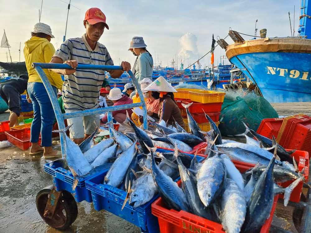 ttxvn_vu ca Nam Ninh Thuan.jpg