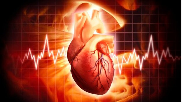 Mô tim được in 3D có thể duy trì nhịp đập hơn 6 tháng trong ống nghiệm ảnh 1