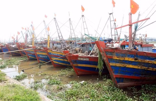 Quảng Nam, Quảng Ninh, Thái Bình, Hải Phòng, Nam Định ứng phó bão ảnh 1
