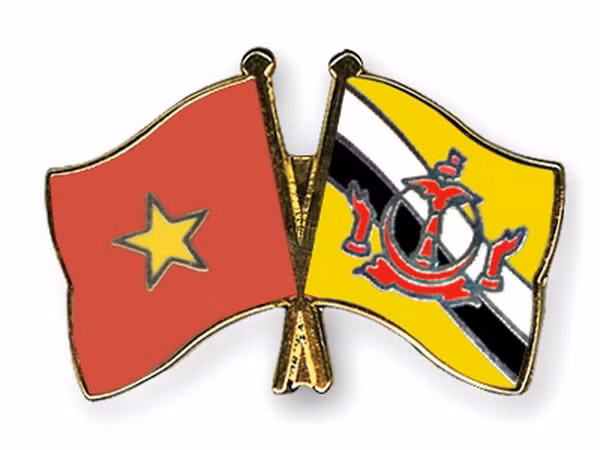Lãnh đạo Việt Nam gửi điện mừng Quốc khánh Brunei Darussalam ảnh 1