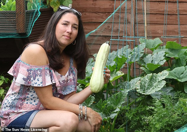 Bị ngộ độc sau khi ăn bí ngòi tự trồng trong vườn nhà ảnh 1