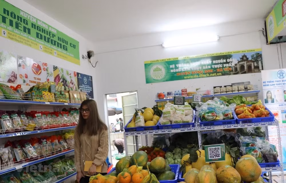 Giá thịt lợn ''leo thang'' khiến CPI tháng 11 biến động tăng 0,96% ảnh 2