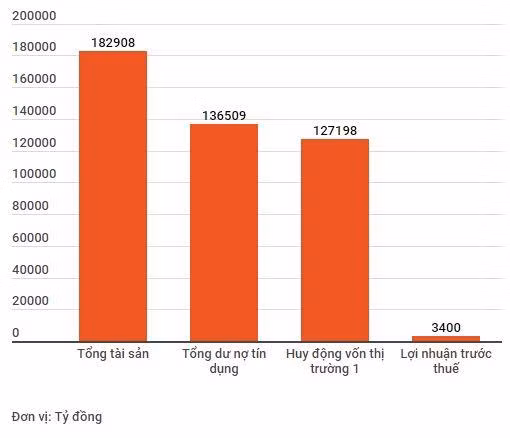 VIB đặt mục tiêu lợi nhuận trước thuế đạt 3.400 tỷ đồng năm 2019 ảnh 2