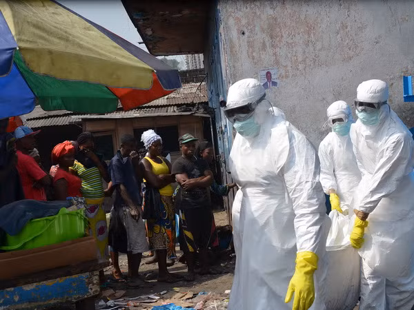 WHO chuẩn bị tổ chức hội nghị quốc tế về dịch Ebola ảnh 1