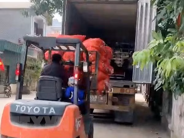 Đề nghị có phương án cho xe hàng lưu thông Hải Dương-Hải Phòng ảnh 1