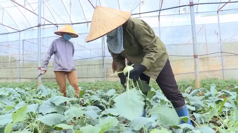 WB: Tỷ lệ giảm nghèo của Việt Nam trong 10 năm qua đầy ấn tượng ảnh 1