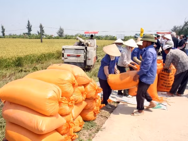 Ngành nông nghiệp bứt phá với một năm được mùa và được giá ảnh 2