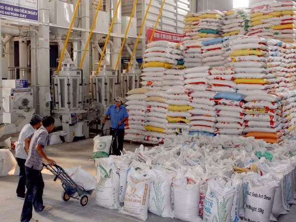 Đề xuất bãi bỏ thuế VAT 5% với tiêu thụ gạo trong nước ảnh 1