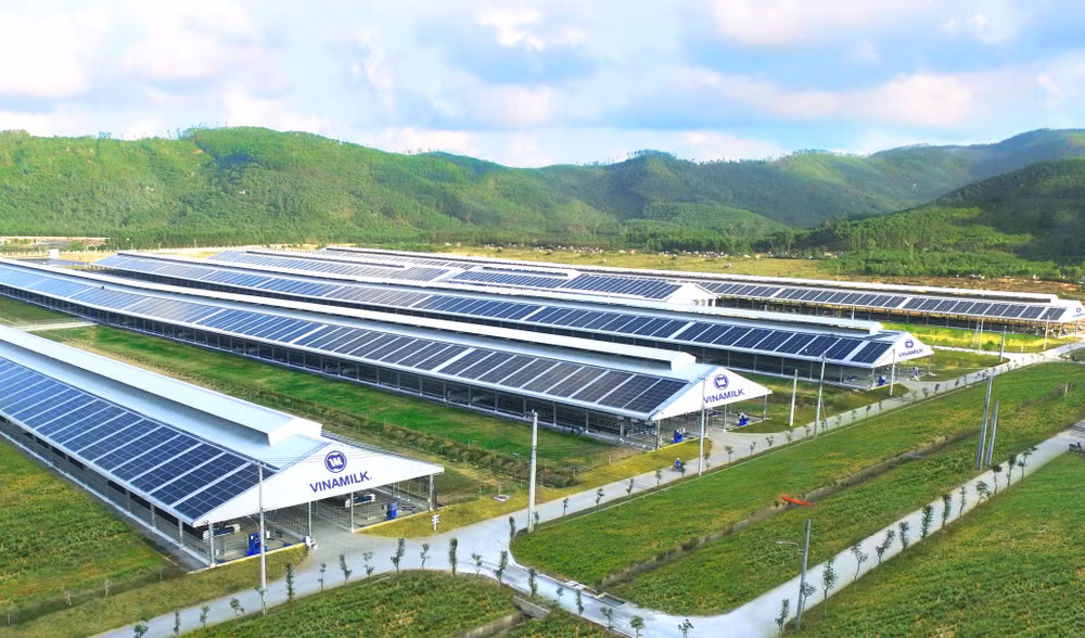Vinamilk thăng hạng 6 bậc trong Tốp 50 công ty sữa lớn nhất thế giới ảnh 5